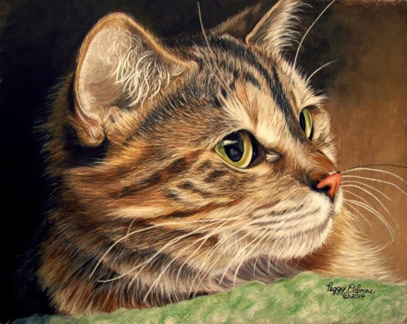 Алмазная мозаика "коты"