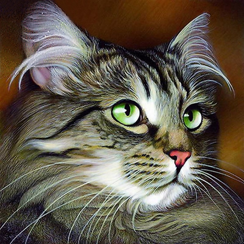 Алмазная вышивка кошки
