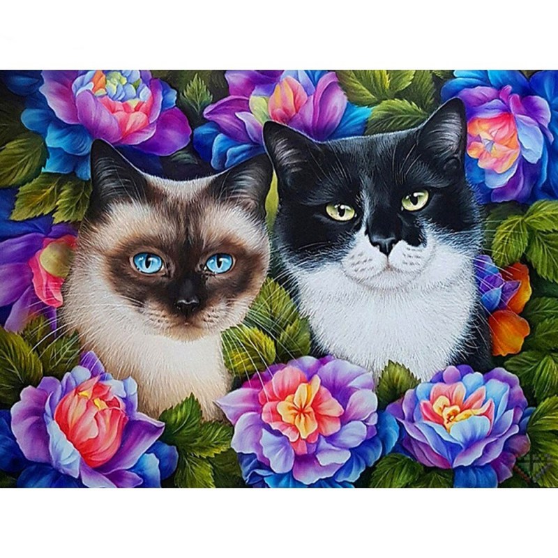 Алмазная мозаика - кошка