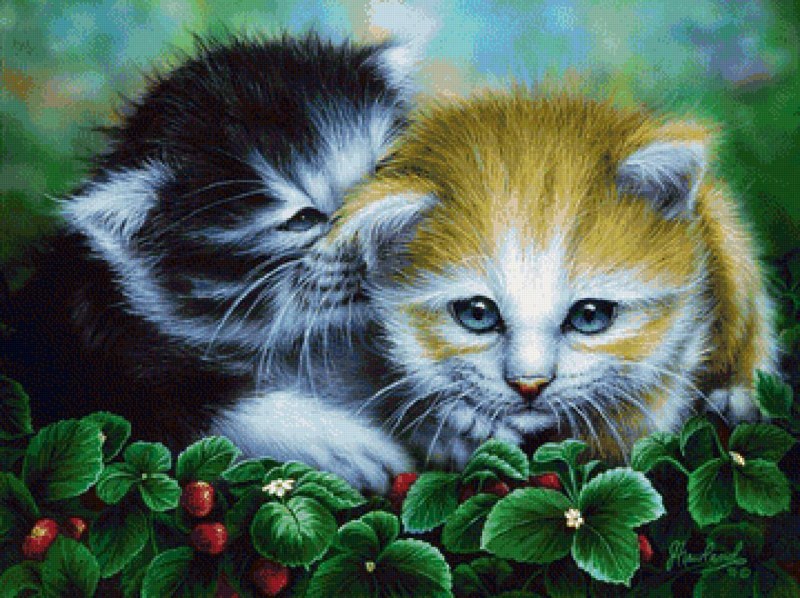 Алмазная мозаика - кошка