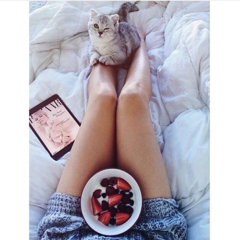 Ноги кота
