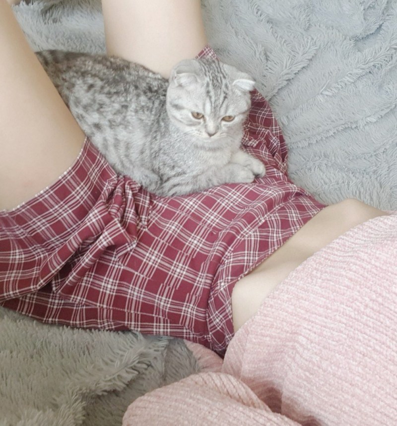 Котенок между ног