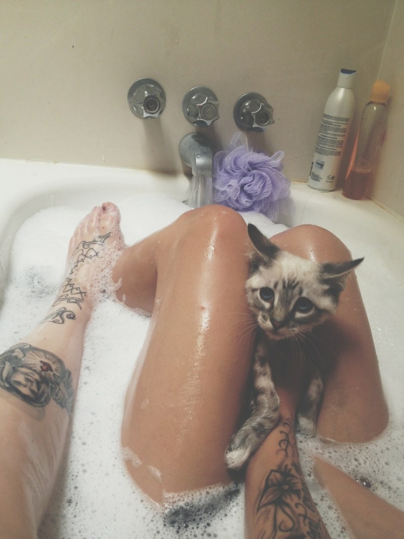 Киса в ванной