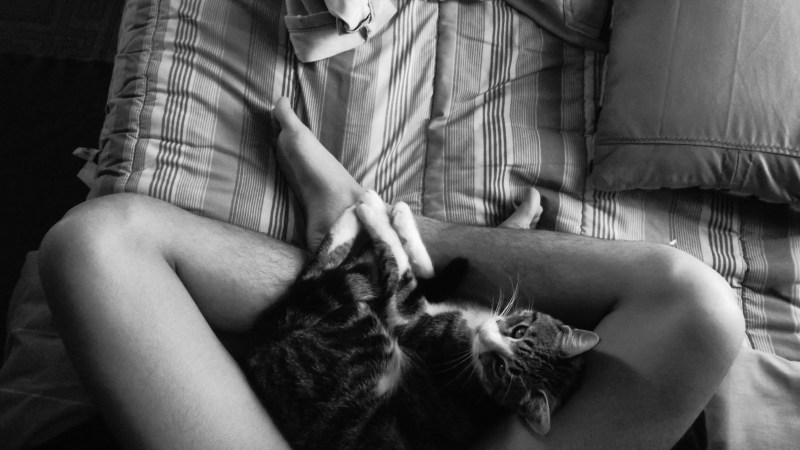 Девушка с котом в постели