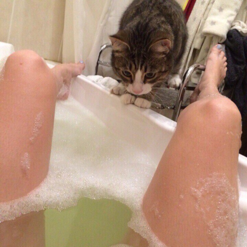 Девушка в Нижнем белье с котом