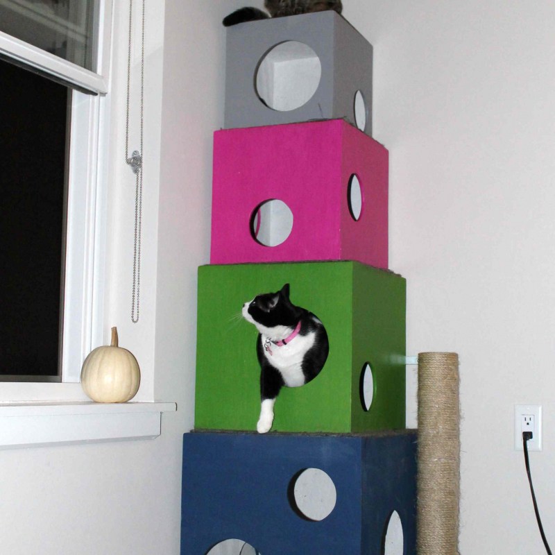 Кошачий домик из коробок
