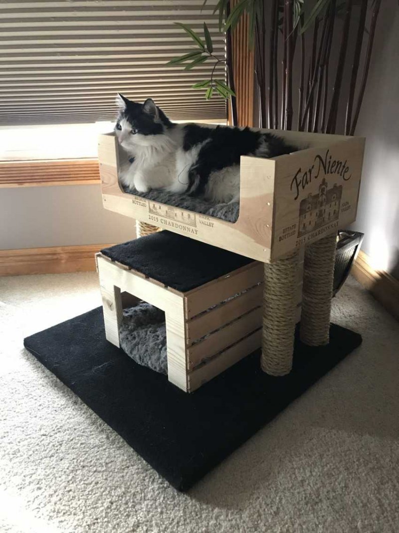 Домик для котика из коробки