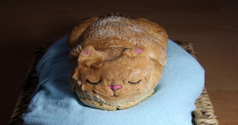 Кот в булке хлеба