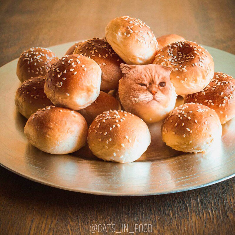 Смешные булочки
