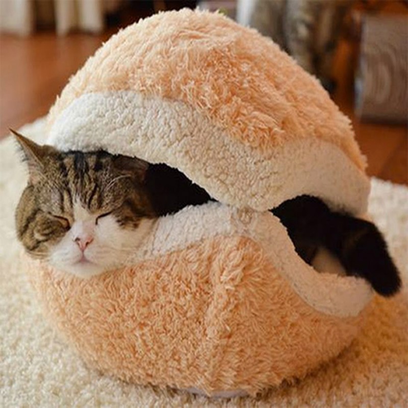 Котик булочка