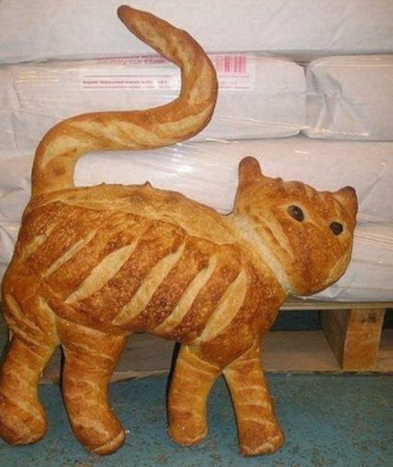 Кот хлеб