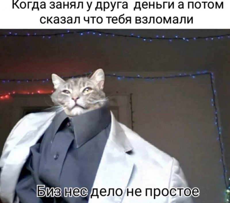 Кот в пиджаке
