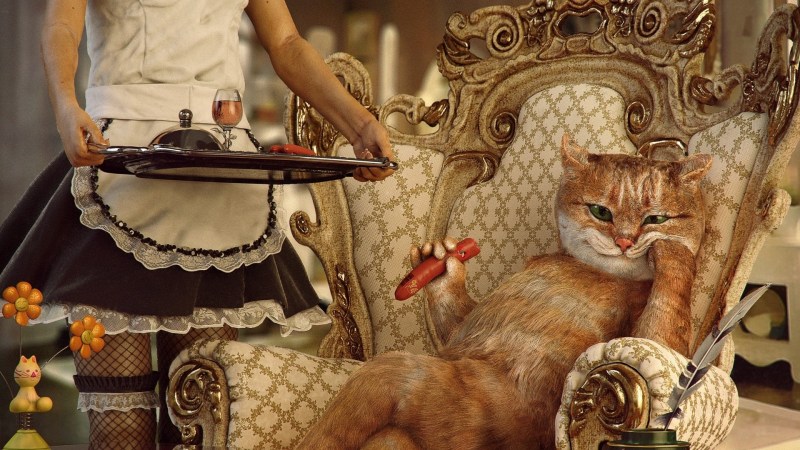 Вальяжная кошка