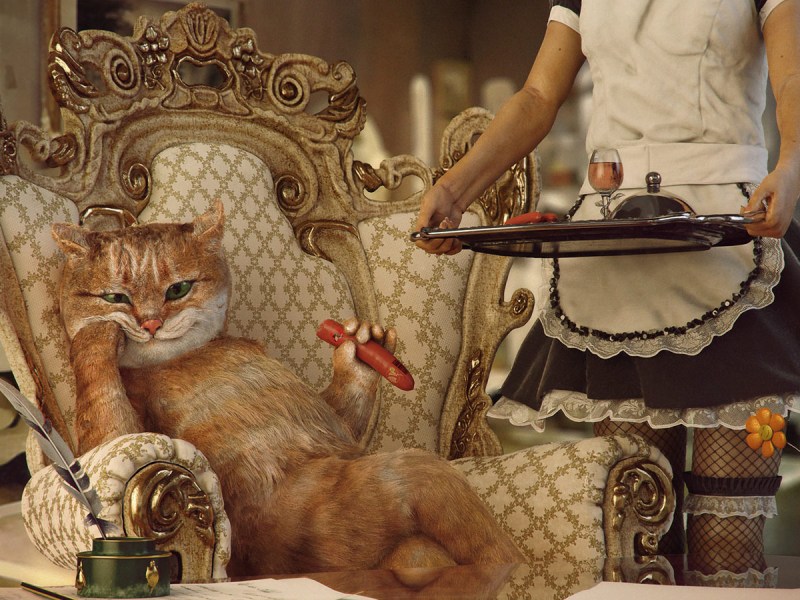 Котозавр Мурочкин