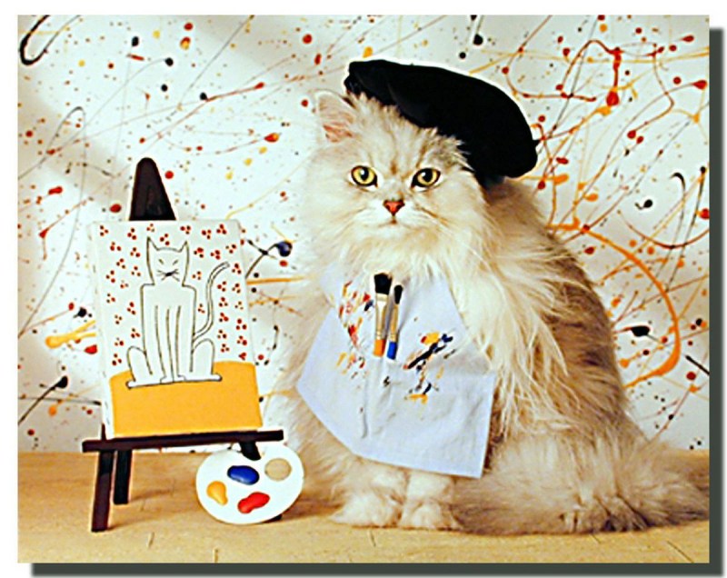 Творческий кот