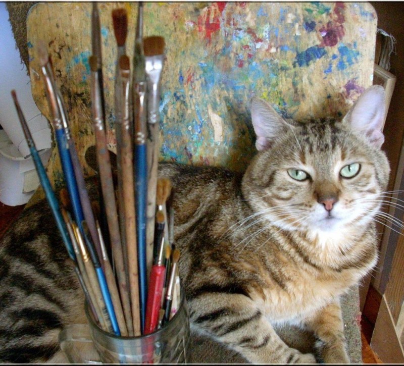 Кот с кистью