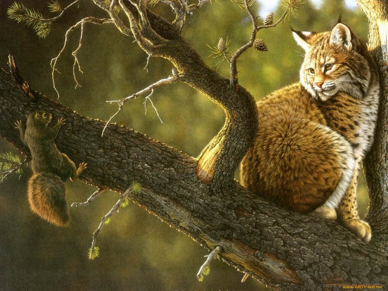Художник-анималист Mansanarez Tom
