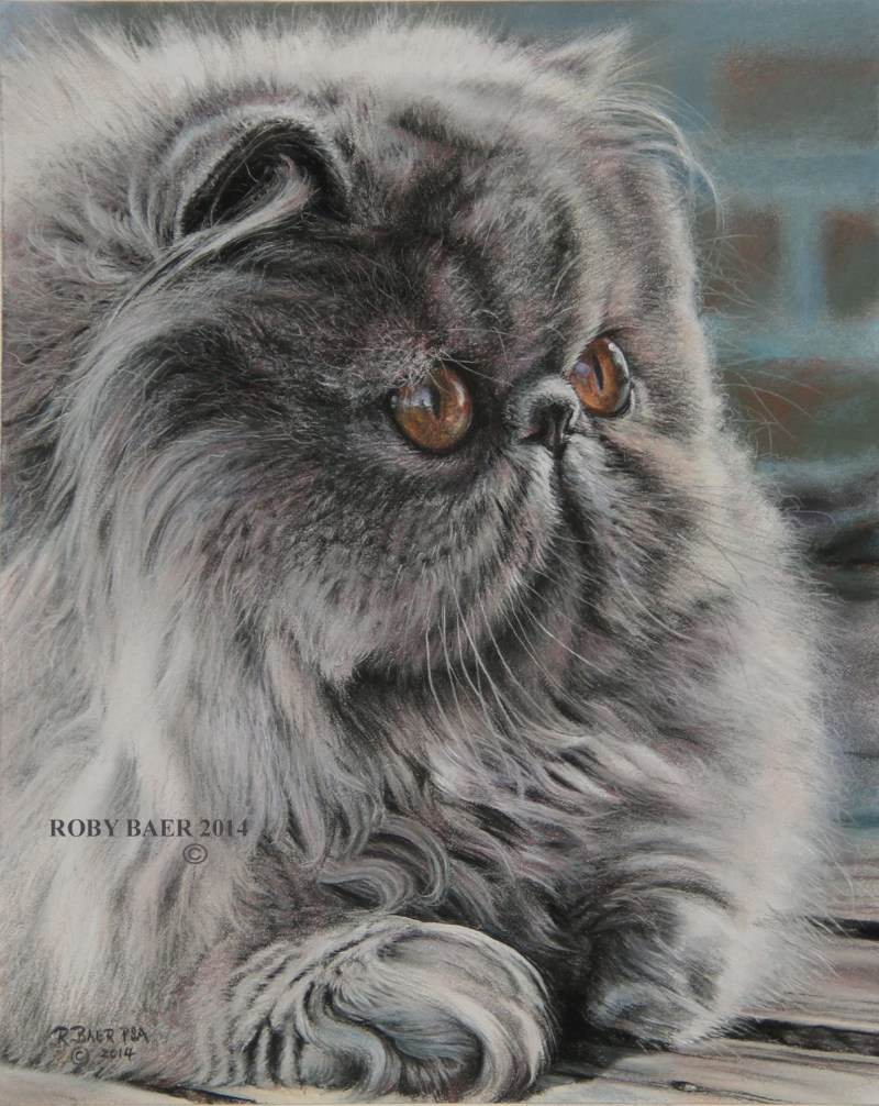 Кошки похожие на персидских