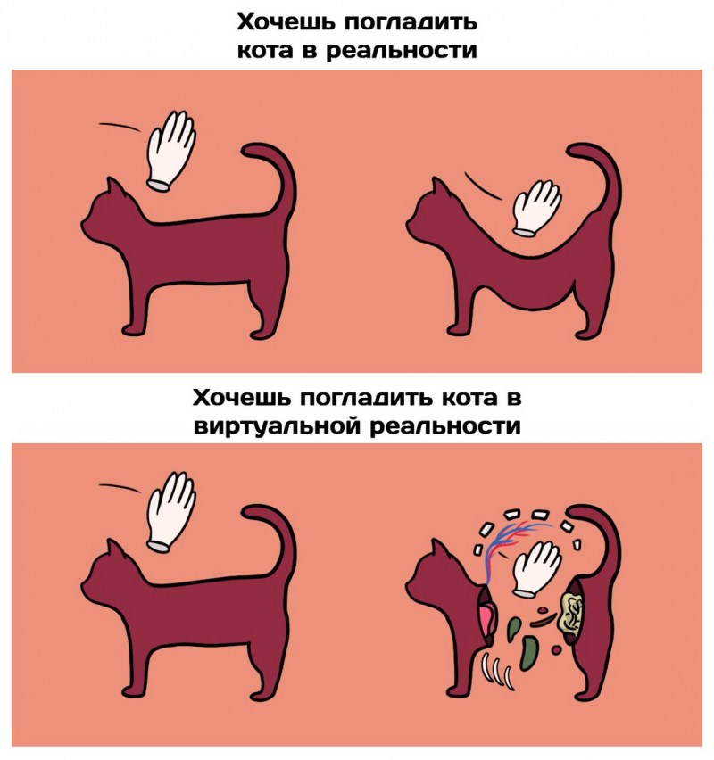 Они говорили заведи кота чтобы списывать на него