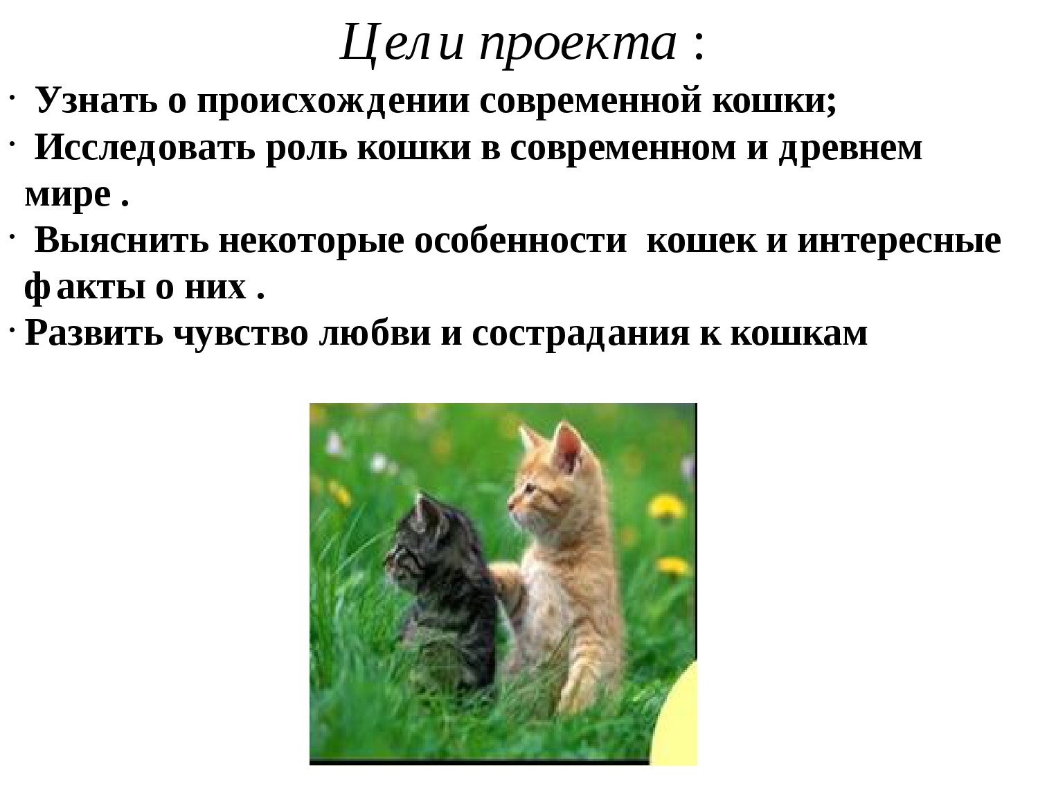Рассказ о кошках окружающий мир. Презентация про кошек. Проект на тему кошки. Кошачья тема для презентации. Проектная работа про кошек.