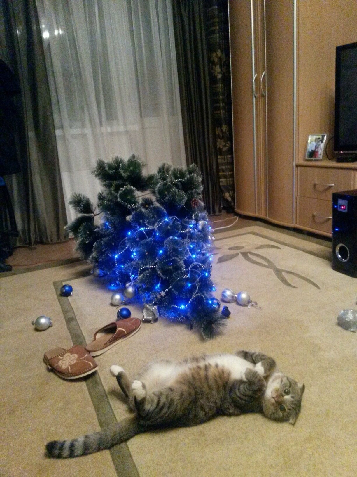 Готова к новому дню. Коты и елки. Кот и Новогодняя елка. Кот уронил елку. Кот свалил елку.