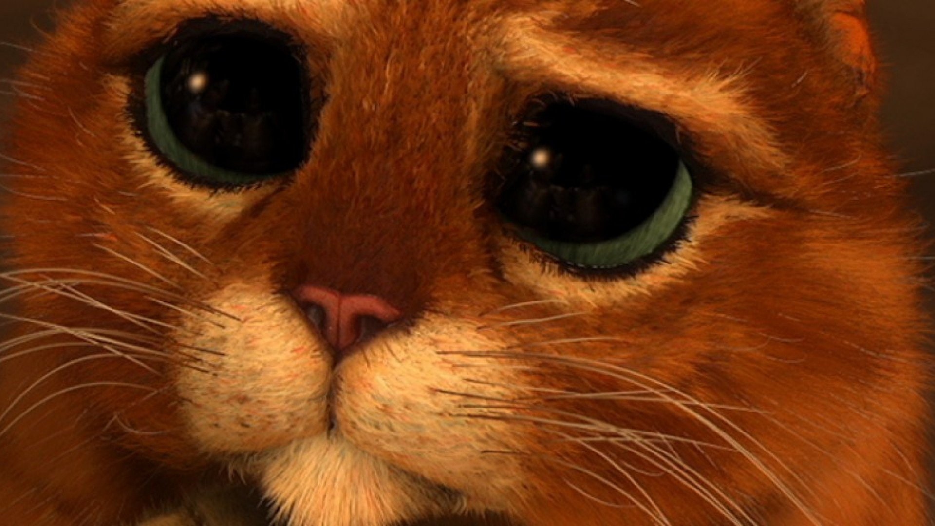 Фото кота из шрека с большими глазами виновными