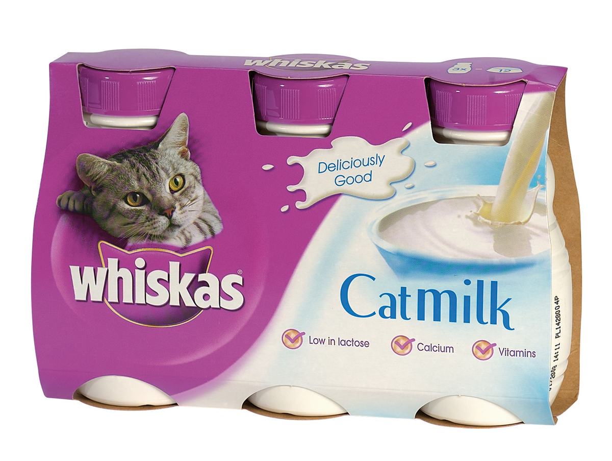 Cats milk yesterday. Вискас молоко для кошек. Кошка и молоко. Сухое кошачье молоко. Кошачье молоко для котят.