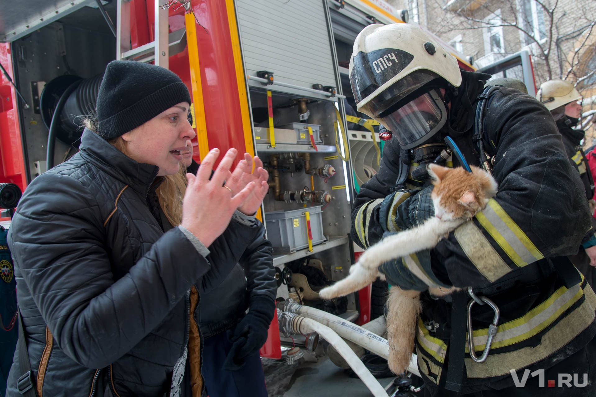 Кошечки спасают. Пожарный с котенком. Пожарный спас котенка. Котенок пожарник.