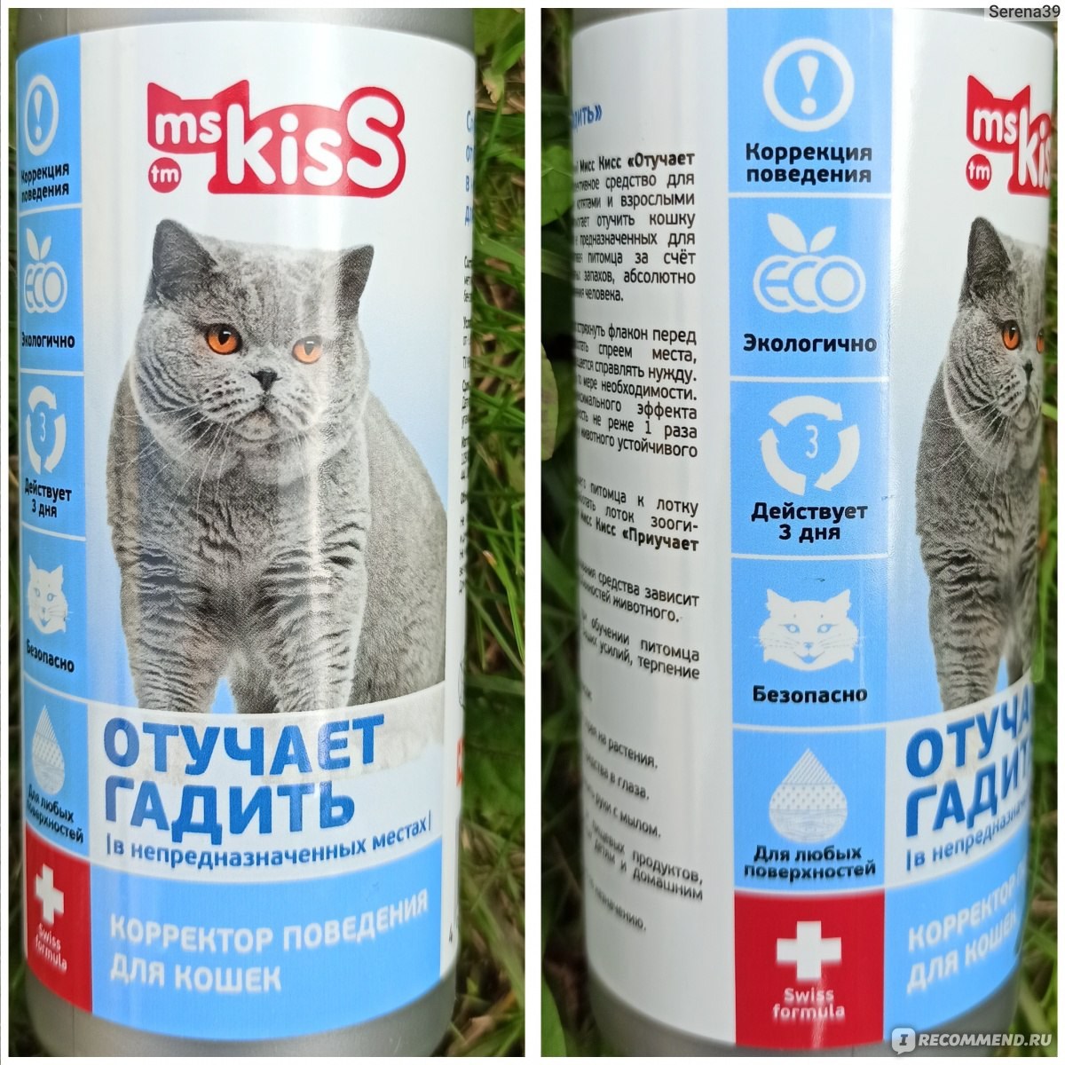 Какие запахи отпугивают кошек гадить. Запахи, которые отгоняют котов. Масло для отпугивания кошек. Запахи отпугивающие кошек. Аромат кошка.