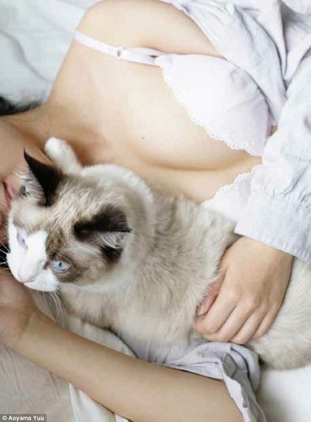 Сами красивая киску. Кот на груди. Котик на женской груди. Кот на груди у женщины.