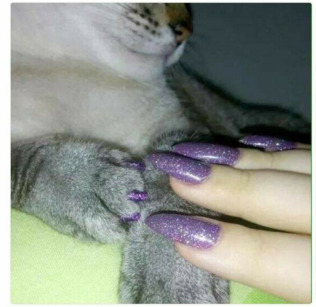 Кошачьи ногти в маникюре