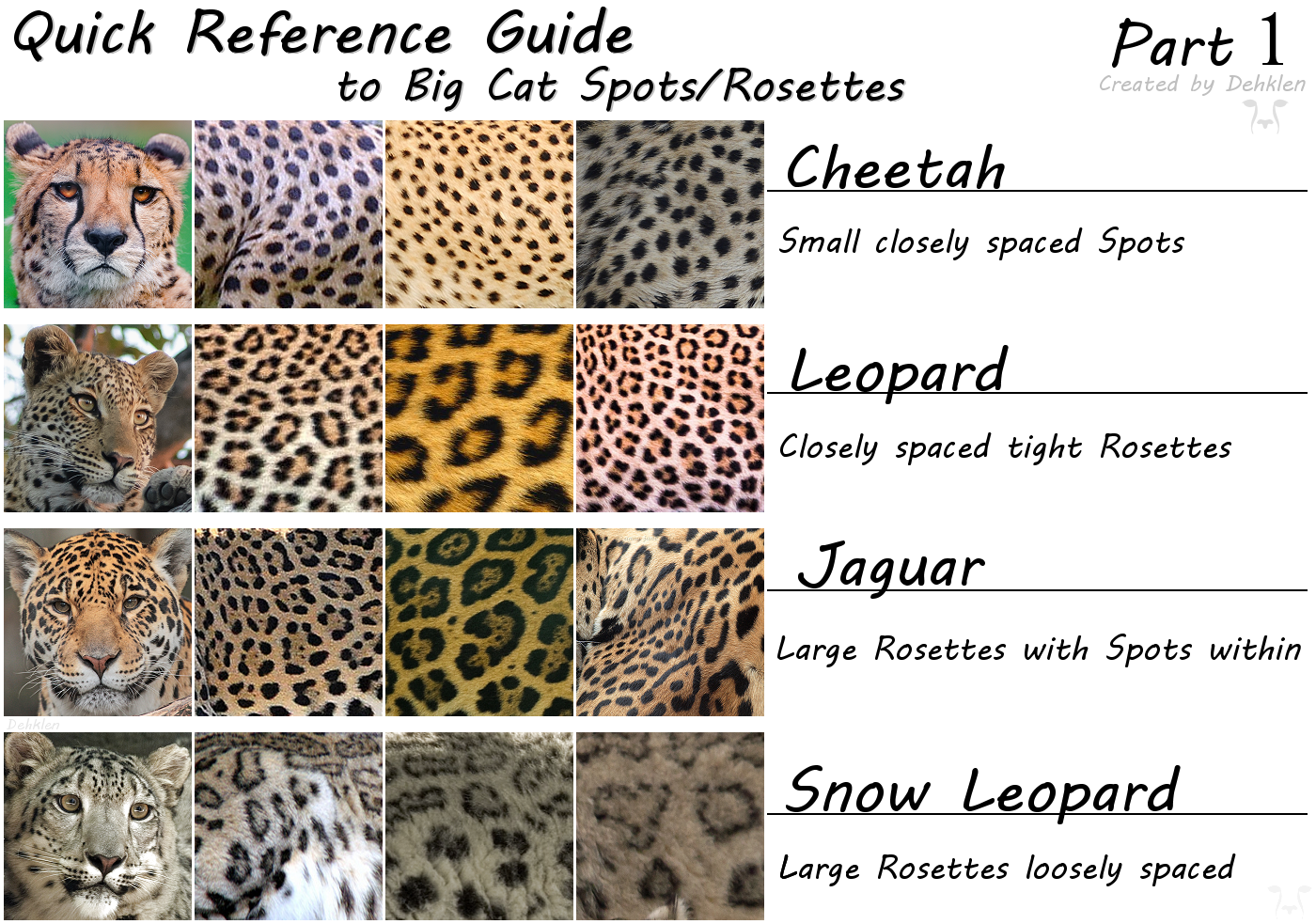 Ягуар леопард гепард отличия. Отличия шкпард окопард Ягуар. Тигр леопард гепард Ягуар. Леопард гепард и Ягуар сравнение.