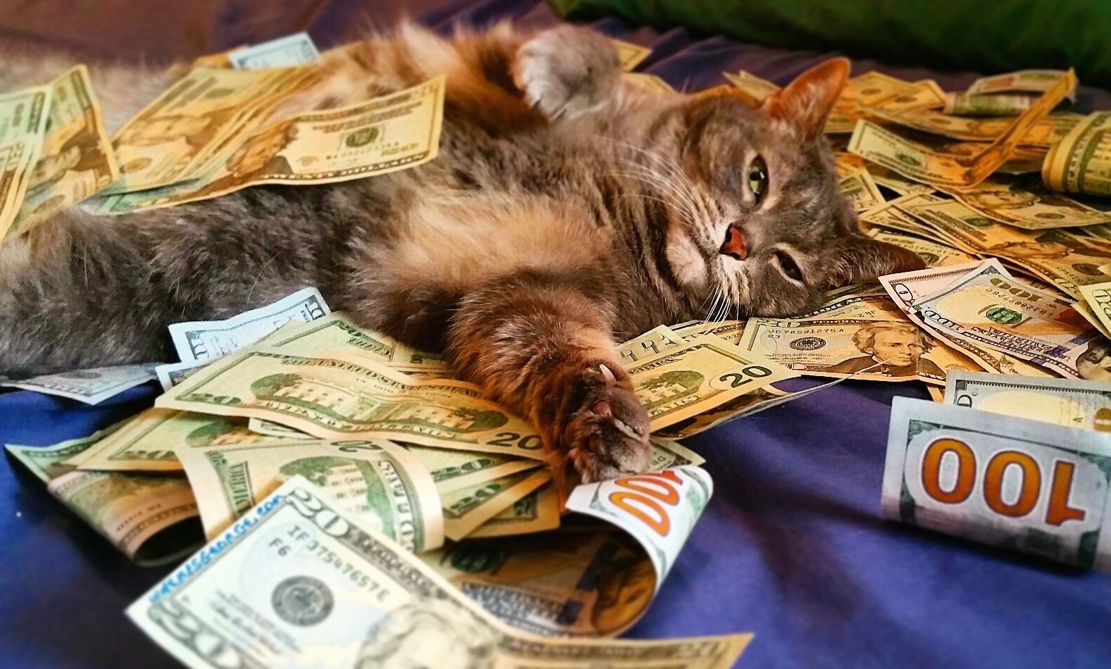Деньги с рисунком животных