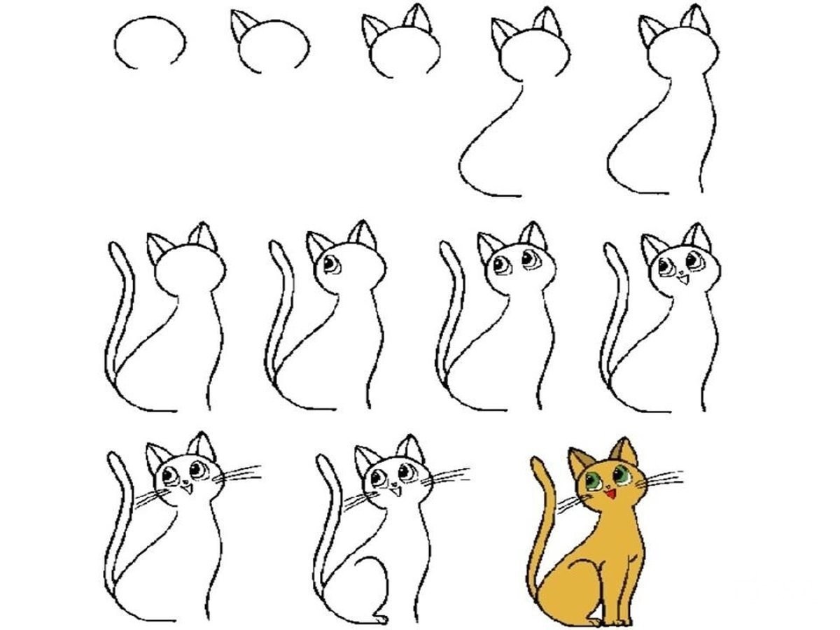 Как красиво рисовать котиков. Кошка рисунок. Кошка рисунок поэтапно. Поэтапное рисование кошки. Легкие рисунки для срисовки.