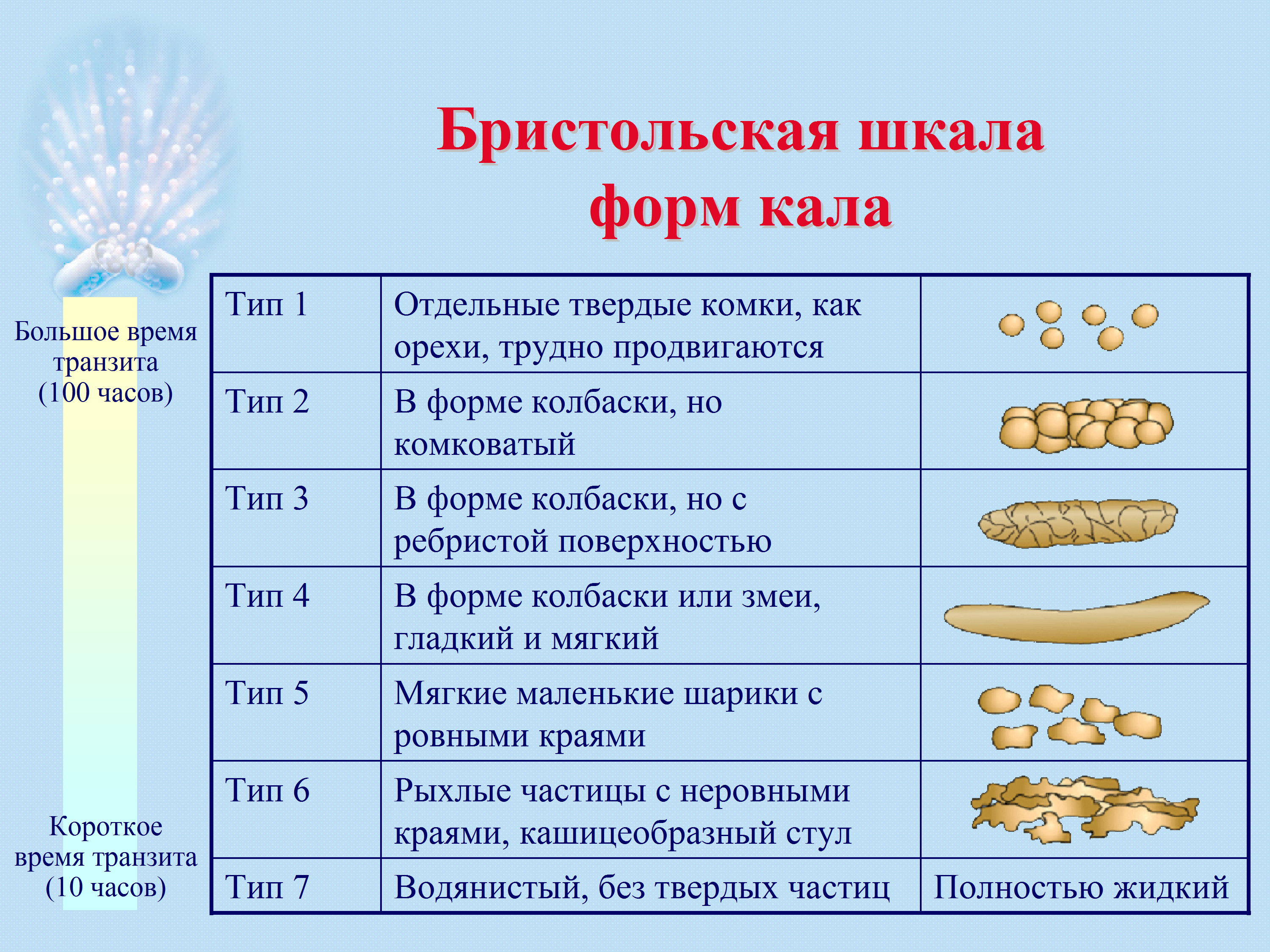 Кашеобразный стул. Бристольская шкала формы кала. Классификация стула Бристольская шкала. Бристольская шкала формы кала таблица. Бристольская шкала оценки кала.