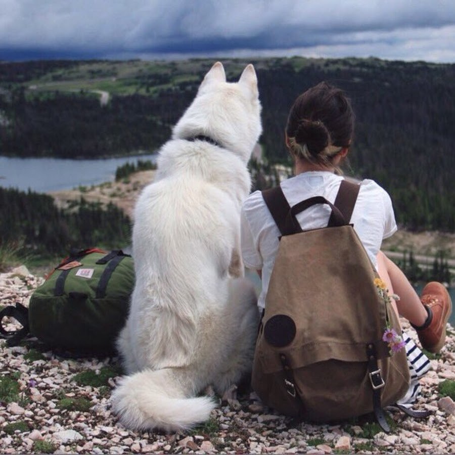 Человек с собакой на природе