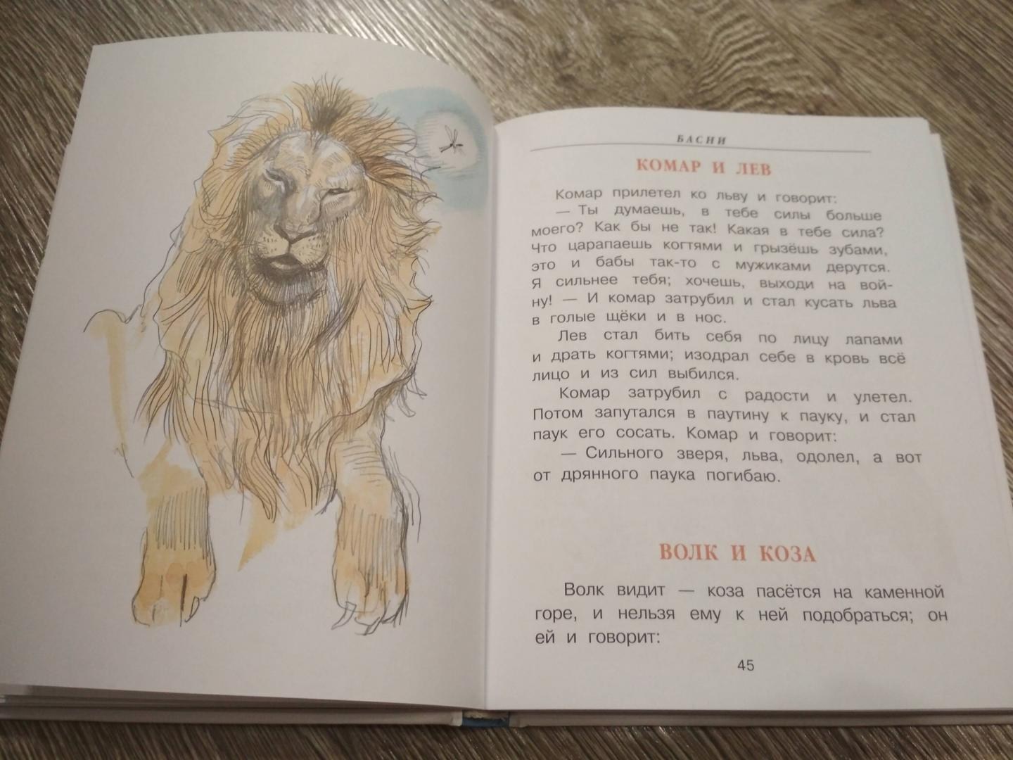 Читать 3 льва. Сказки Льва Толстого. Л Н толстой рассказы для детей. Басни Толстого. Басни Льва Толстого.