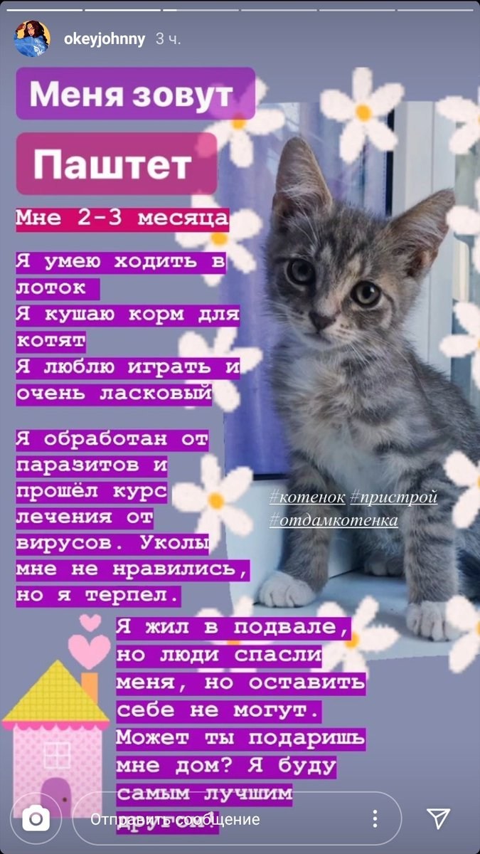 клички котов из игр (97) фото