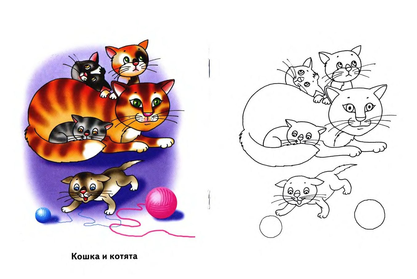 Кошка раскраска для детей. Кошка с котятами рисунок для детей. Котенок раскраска цветная. Раскраска. Котики.