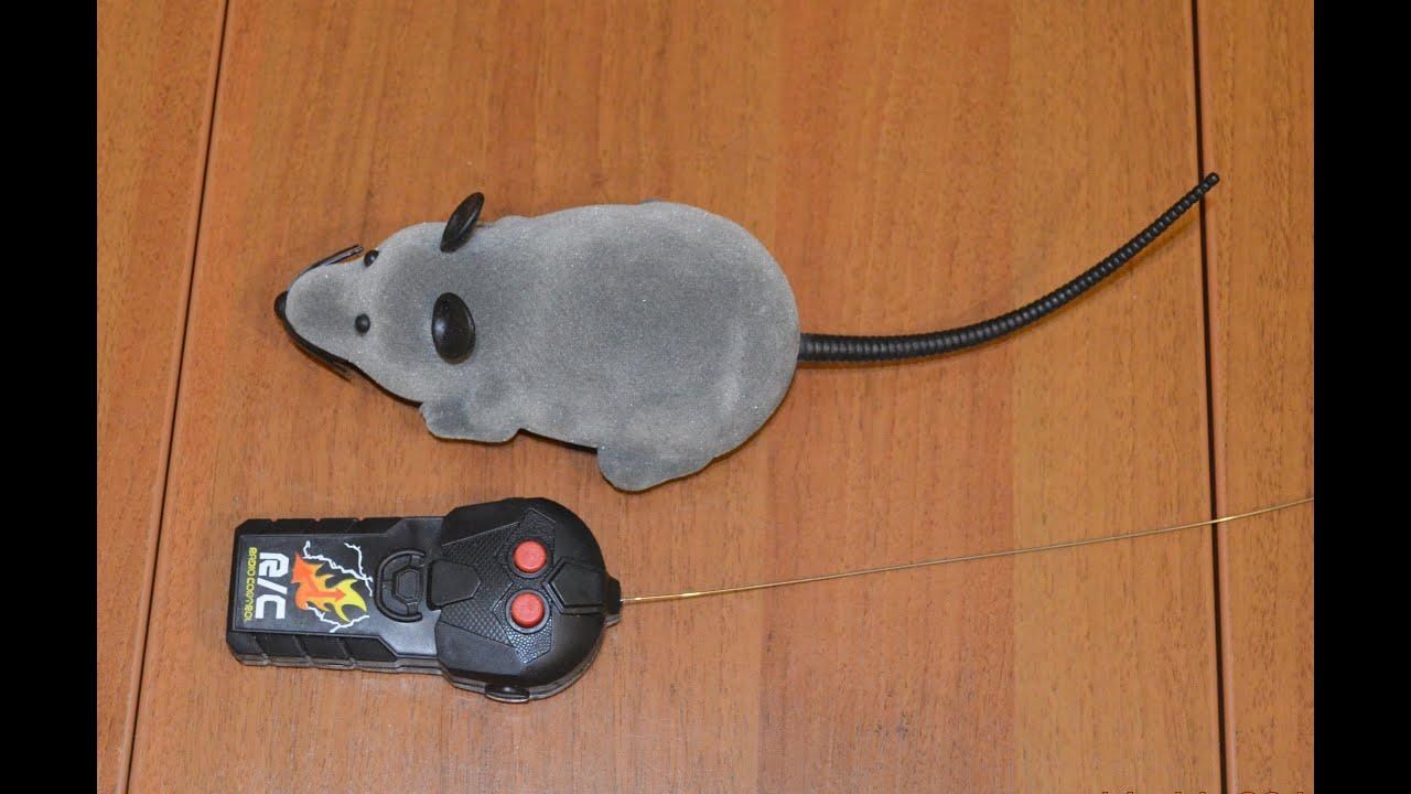 Мышь для кота на экране - картинки и фото koshka.top