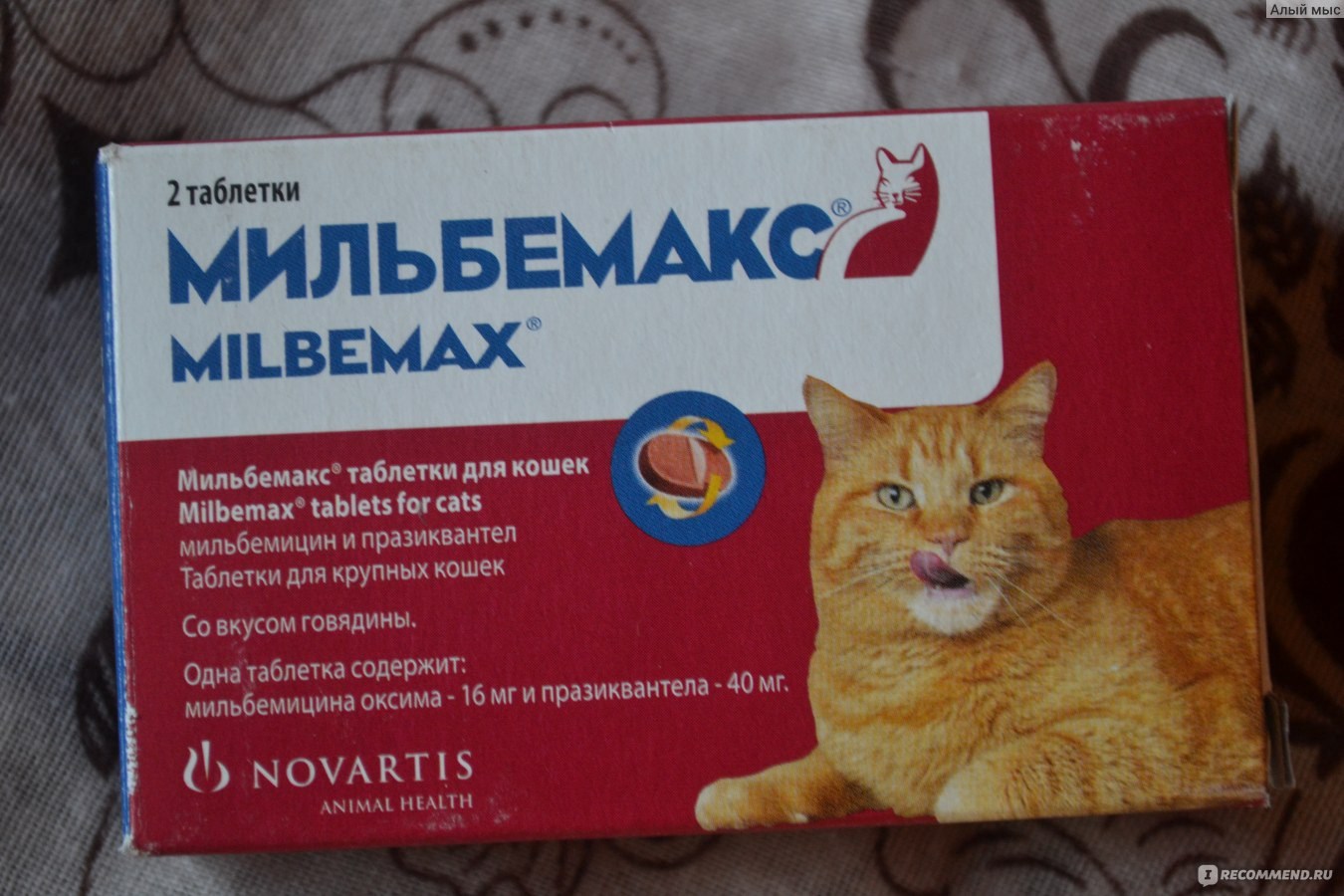 За сколько глистогонить кошку перед прививкой. Таблетки от глистов Мильбемакс. Мильбемакс для кошек 1 таблетка. Антигельминтик Elanco Мильбемакс для кошек, 2 таблетки. Мильбемакс капли для кошек от блох.