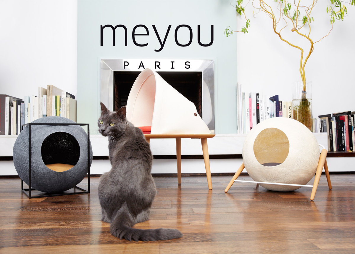 Стильная кошка. Meyou Paris мебель для кошек. Современные домики для кошек. Стильный кошачий домик. Дизайнерские домики для кошек.