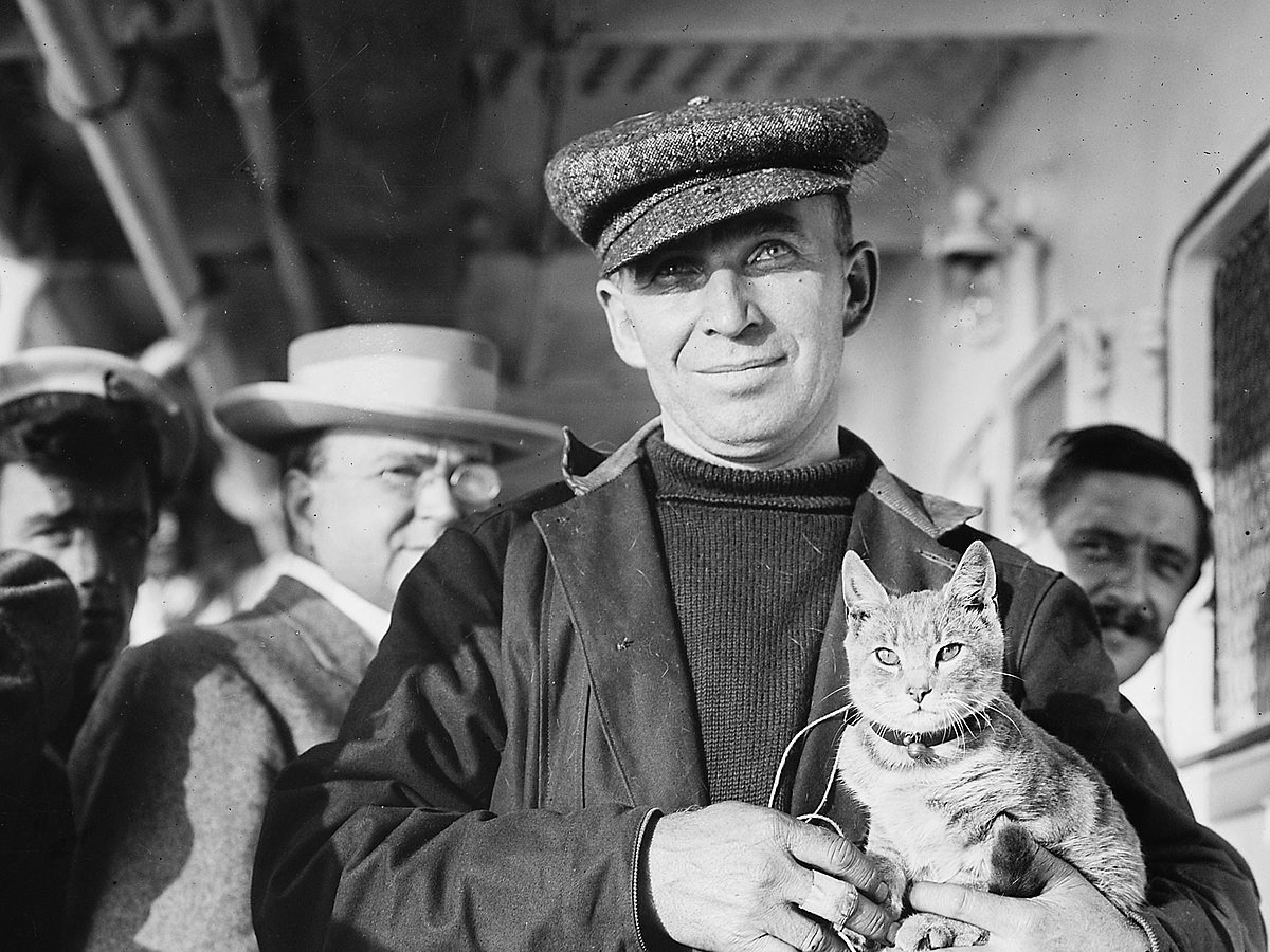 Юрий Кнорозов с котом