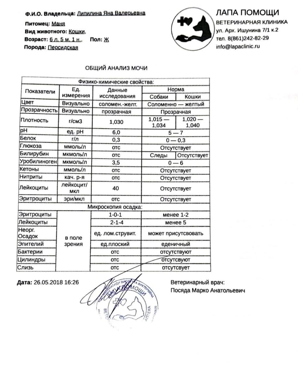 Уробилиноген в кале. Нормы ОАМ У котов. Плотность мочи у кошек норма. Анализ мочи кошки. Исследование мочи у кошек.