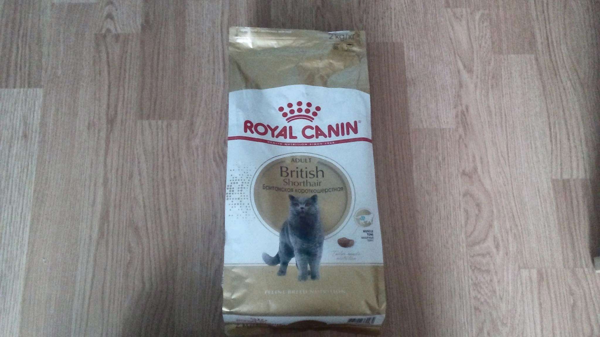 Роял для британцев. Royal Canin Роял Канин Британская короткошерстная 2кг. Роял Канин для британских кошек 2 кг. Роял Канин для британцев 13 кг. Роял Канин Британская короткошерстная 2 кг.