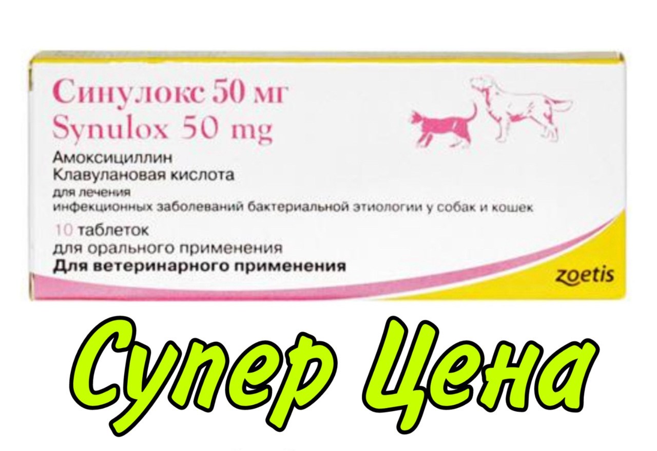 Купить синулокс для собак 500. Zoetis синулокс 50 мг. Синулокс 250 мг. Синулокс для кошек 50 мг таблетки. Синулокс для собак 50 мг.
