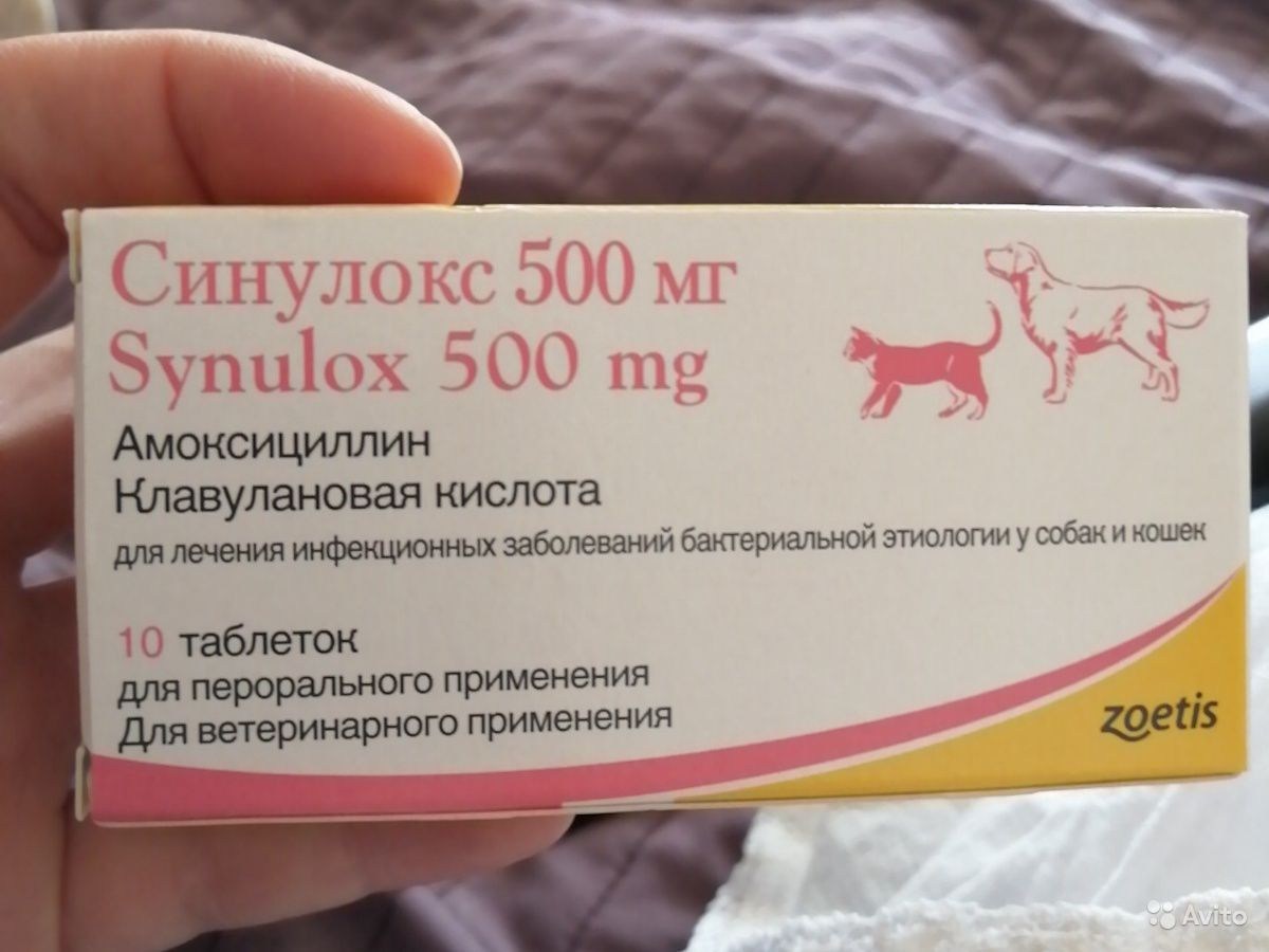 Синулокс 250 мг купить