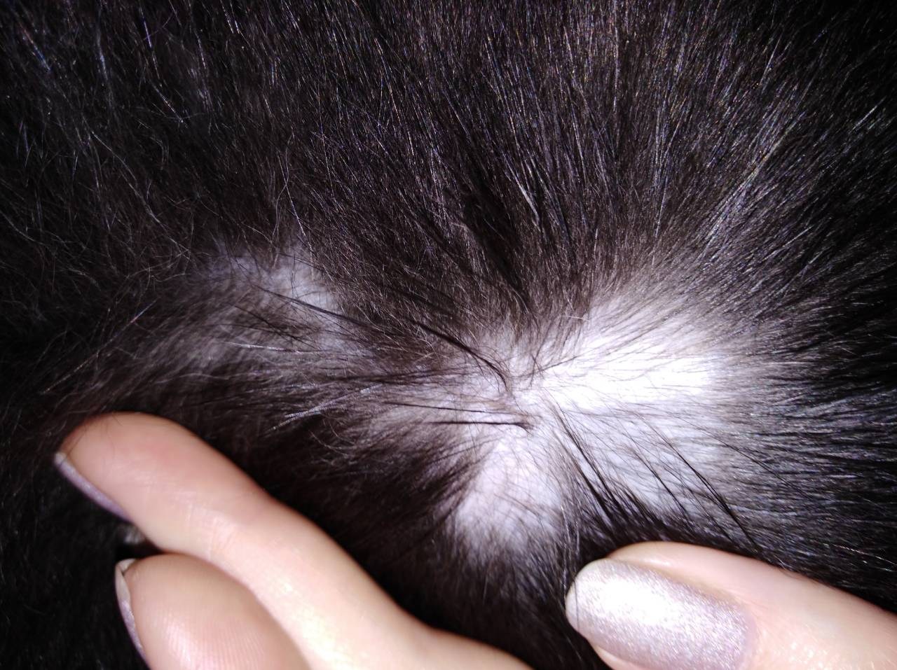 Почему у котов растут волосы
