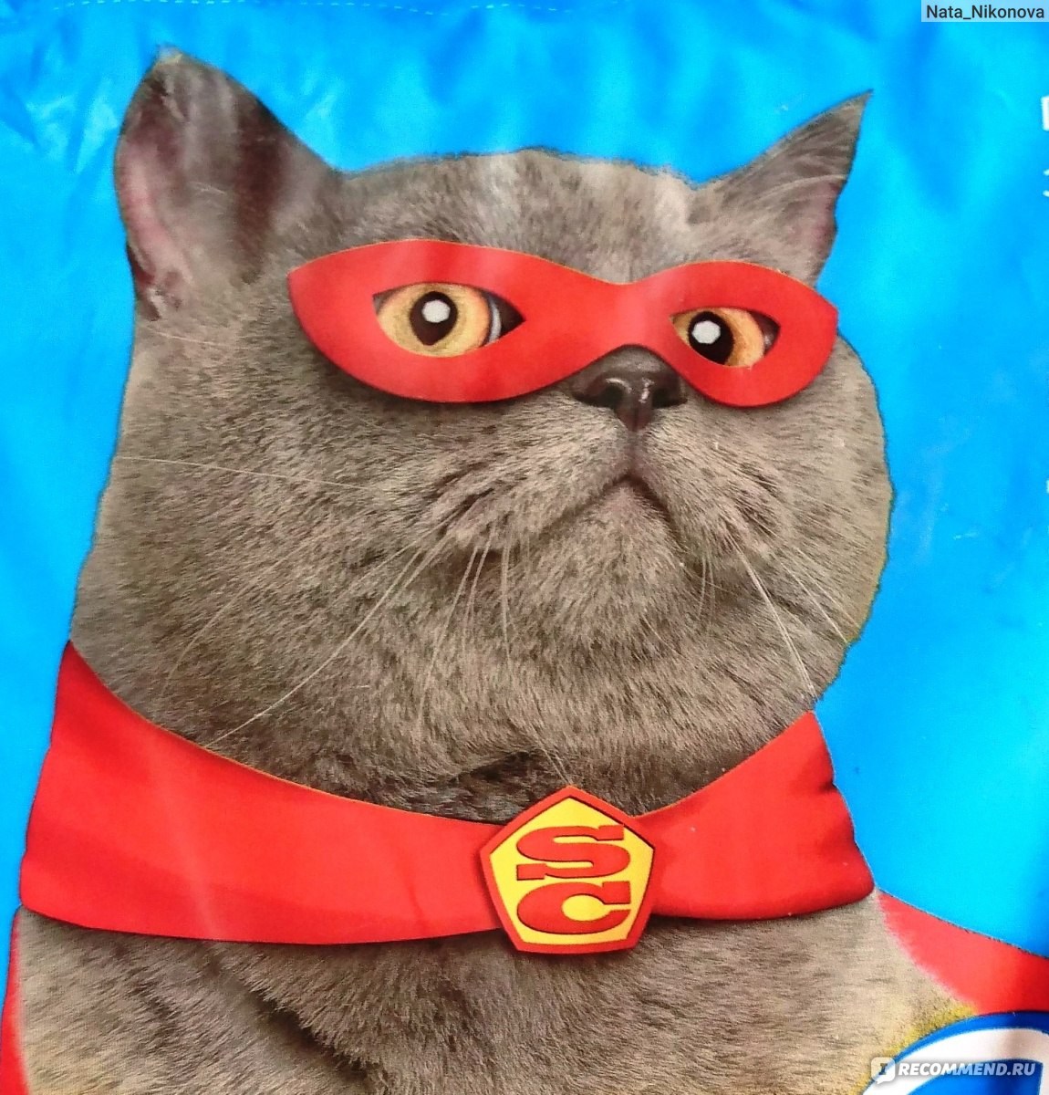 Super cat. Канал супер кошки. Supercat слив. Supercat плащ.