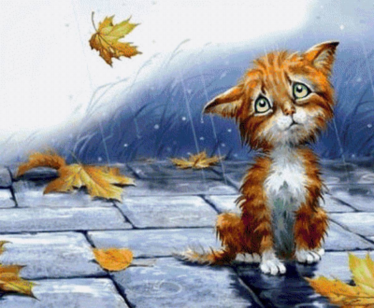 Котенок под дождем